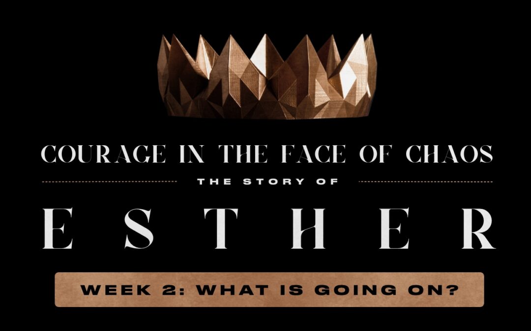 Esther | What Is Going On?