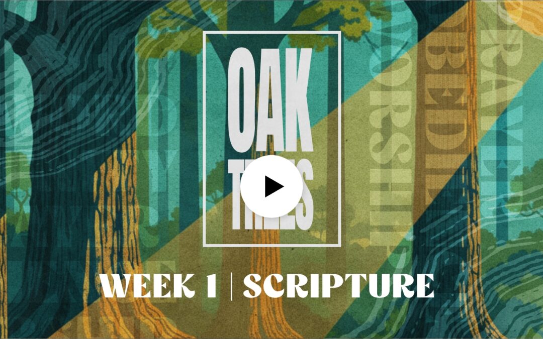 Oak Trees | Scripture