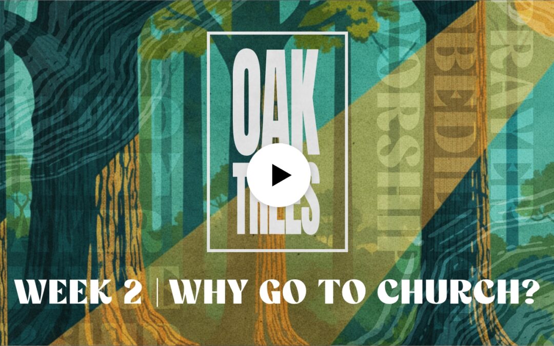 Oak Trees | Why Go To Church?