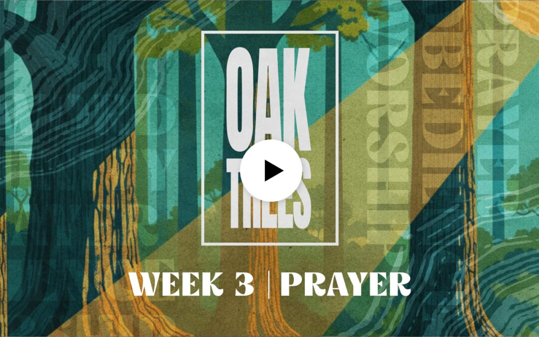 Oak Trees | Prayer