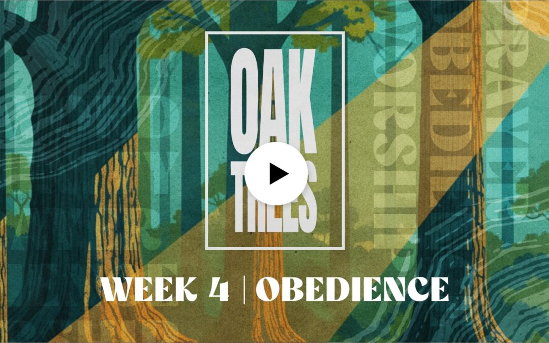Oak Trees | Worship