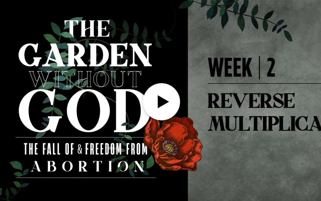 The Garden Without God | Part 2 | Reverse Multiplication