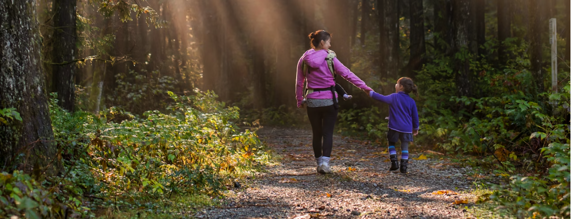 Screenshot 2026-02-12 at 1.41.17 PM